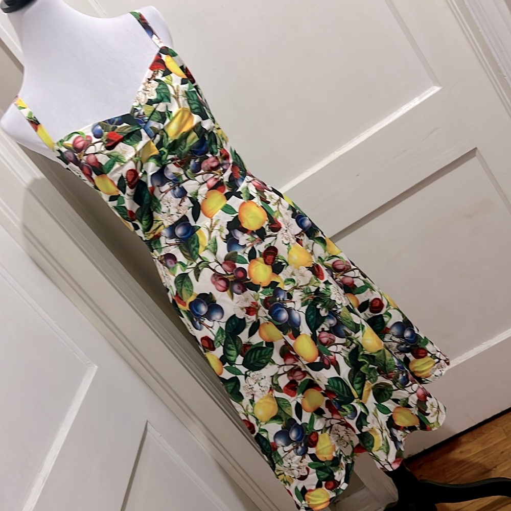 City Chic Women’s 18 Plus Rockabilly  Fruit Salad Dress SPRING 2024